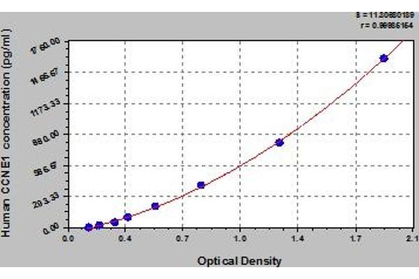 Cyclin E1 ELISA Kit