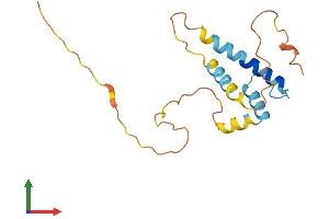 AlphaFold protein structure predicition of Mouse Recombinant Id1 Protein, UniprotID P20067