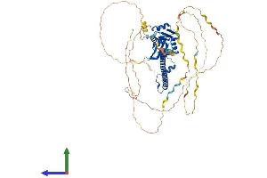AlphaFold protein structure predicition of Mouse Recombinant Sfpq Protein, UniprotID Q8VIJ6 (SFPQ Protein (AA 1-699) (His tag))