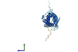 Protein Structure (PS) image for Lipoma HMGIC Fusion Partner-Like 5 (LHFPL5) (AA 1-219) protein (His tag) (ABIN7557386)