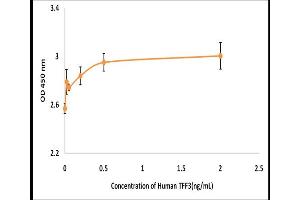 Activity Assay (AcA) image for Trefoil Factor 3 (Intestinal) (TFF3) (Active) protein (ABIN5509514) (TFF3 Protein)