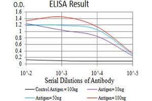 Black line: Control Antigen (100 ng);Purple line: Antigen (10ng); Blue line: Antigen (50 ng); Red line:Antigen (100 ng) (DNMT3A antibody  (AA 46-180))