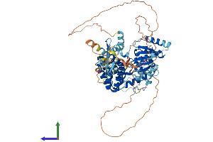 Protein Structure (PS) image for Werner Helicase Interacting Protein 1 (WRNIP1) (AA 1-665) protein (His tag) (ABIN7545195)