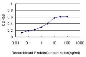 Detection limit for recombinant GST tagged LOC124220 is approximately 0. (ZG16B antibody  (AA 18-172))
