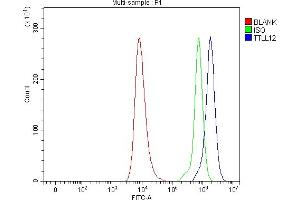 Flow Cytometry analysis of HEL cells using anti-TTLL12 antibody (ABIN7602497). (TTLL12 antibody  (AA 8-634))