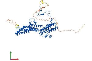 AlphaFold protein structure predicition of Human Recombinant BEST4 Protein, UniprotID Q8NFU0 (Bestrophin 4 Protein (BEST4) (AA 1-473) (His tag))