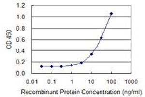Detection limit for recombinant GST tagged FOXQ1 is 0. (FOXQ1 antibody  (AA 110-219))