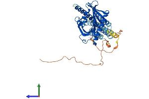 AlphaFold protein structure predicition of Mouse Recombinant Stard3 Protein, UniprotID Q61542