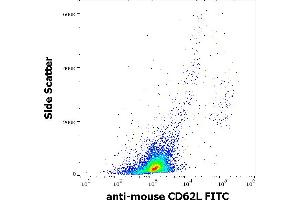 Flow cytometry surface staining pattern of murine splenocyte suspension stained using anti-mouse CD62L (Mel-14) FITC antibody (concentration in sample 9 μg/mL). (L-Selectin antibody  (FITC))