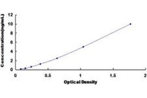 Typical standard curve (Gastrokine 1 ELISA Kit)