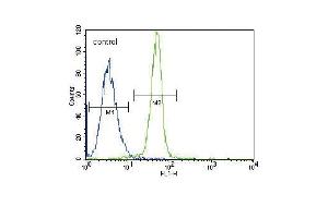 Leptin Receptor (LEPR) Antibody (N-term) (ABIN390093 and ABIN2840609) flow cytometric analysis of K562 cells (right histogram) compared to a negative control cell (left histogram). (Leptin Receptor antibody  (N-Term))
