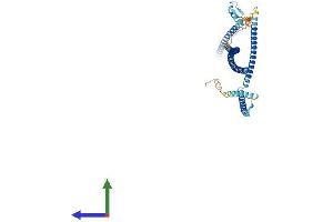 Protein Structure (PS) image for Centrosomal Protein 55kDa (CEP55) (AA 1-464) protein (His tag) (ABIN7553280)