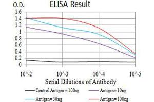 Black line: Control Antigen (100 ng), Purple line: Antigen(10 ng), Blue line: Antigen (50 ng), Red line: Antigen (100 ng), (FOXM1 antibody  (AA 649-748))