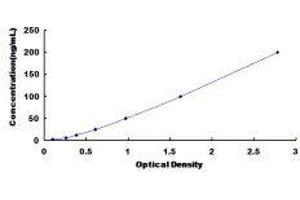CD38 ELISA Kit