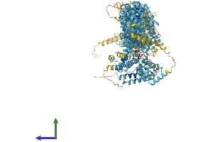 AlphaFold protein structure predicition of Mouse Recombinant Fanca Protein, UniprotID Q9JL70 (FANCA Protein (AA 1-1439) (His tag))