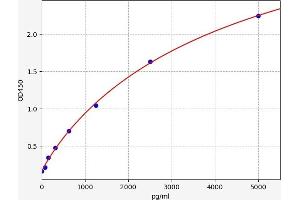 Typical standard curve (CD300LB ELISA Kit)