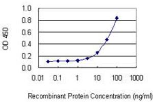 Detection limit for recombinant GST tagged LPIN1 is 1 ng/ml as a capture antibody. (Lipin 1 antibody  (AA 792-890))