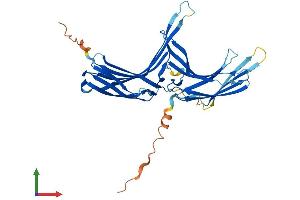 AlphaFold protein structure predicition of Human Recombinant ARRDC5 Protein, UniprotID A6NEK1