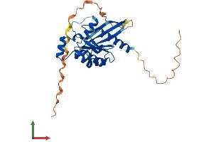 AlphaFold protein structure predicition of Mouse Recombinant Rhou Protein, UniprotID Q9EQT3