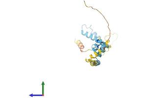 AlphaFold protein structure predicition of Human Recombinant DNAJC5G Protein, UniprotID Q8N7S2 (DNAJC5G Protein (AA 1-189) (His tag))