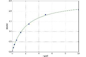 Erythroferrone (ERFE) ELISA Kit