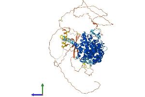 Protein Structure (PS) image for Protein Phosphatase 6, Regulatory Subunit 3 (PPP6R3) (AA 1-844) protein (His tag) (ABIN7560215)