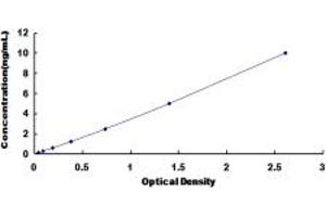 Typical standard curve (Cofilin ELISA Kit)