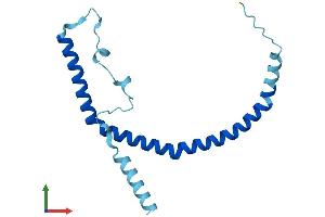 Protein Structure (PS) image for Caveolin 3 (CAV3) (AA 1-151) protein (His tag) (ABIN7552925)