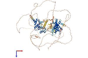 AlphaFold protein structure predicition of Mouse Recombinant Psd4 Protein, UniprotID Q8BLR5