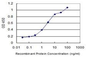 Detection limit for recombinant GST tagged WWP1 is 0. (WWP1 antibody  (AA 152-260))