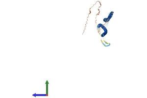 AlphaFold protein structure predicition of Mouse Recombinant Krt17 Protein, UniprotID Q9QWL7 (KRT17 Protein (AA 1-433) (His tag))