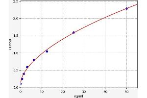 Typical standard curve (CALU ELISA Kit)
