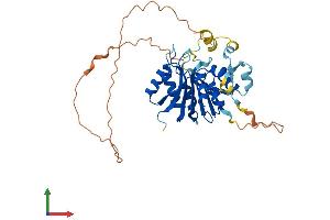 AlphaFold protein structure predicition of Mouse Recombinant Mettl18 Protein, UniprotID Q9CZ09 (METTL18 Protein (AA 1-362) (His tag))