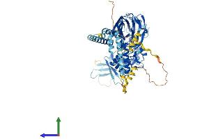 Protein Structure (PS) image for Sodium Channel, Nonvoltage-Gated 1, beta (SCNN1B) (AA 1-638) protein (His tag) (ABIN7565212)