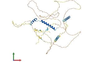 AlphaFold protein structure predicition of Mouse Recombinant Cfap97 Protein, UniprotID Q6ZPR1 (CFAP97/KIAA1430 Protein (AA 1-541) (His tag))
