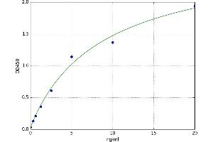 Signal Transducer and Activator of Transcription 4 (STAT4) ELISA Kit