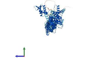 AlphaFold protein structure predicition of Human Recombinant CUL1 Protein, UniprotID Q13616