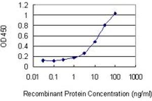 Detection limit for recombinant GST tagged MAPRE1 is 0. (MAPRE1 antibody  (AA 1-110))