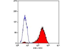 Staining of human peripheral blood lymphocytes with MOUSE ANTI HUMAN CD11 (ITGAL antibody)