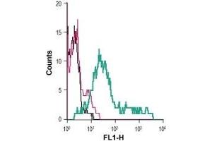 Cell surface detection of EAAT1 in live intact human MEG-01 megakaryoblastic leukemia cells: (black line) Cells. (SLC1A3 antibody  (Extracellular) (FITC))