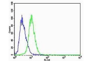 Flow cytometric analysis of A549 cells using CBX8 Antibody (C-term)(green, Cat(ABIN6242216 and ABIN6577075)) compared to an isotype control of mouse IgG1(blue). (CBX8 antibody  (C-Term))