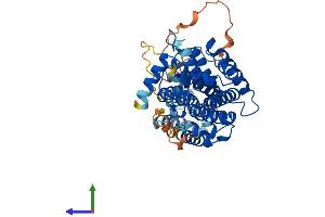 Protein Structure (PS) image for RasGEF Domain Family, Member 1C (RASGEF1C) (AA 1-466) protein (His tag) (ABIN7560934)