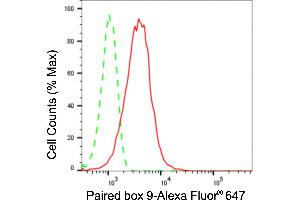 Flow cytometric analysis of Paired box 9 expression in HepG2 cells using Paired box 9 antibody (ABIN7799727), 1:2,000). (Recombinant PAX9 antibody)