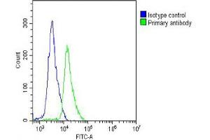 Overlay histogram showing Jurkat cells stained with (ABIN652272 and ABIN2841155) (green line). (L-Selectin antibody  (C-Term))