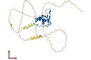 AlphaFold protein structure predicition of Human Recombinant FOXI2 Protein, UniprotID Q6ZQN5 (FOXI2 Protein (AA 1-318) (His tag))