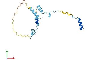 AlphaFold protein structure predicition of Human Recombinant RPS19BP1 Protein, UniprotID Q86WX3 (RPS19BP1 Protein (AA 1-136) (His tag))