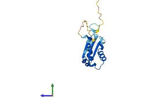 AlphaFold protein structure predicition of Human Recombinant BOLA1 Protein, UniprotID Q9Y3E2 (BOLA1 Protein (AA 1-137) (His tag))
