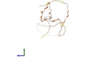 AlphaFold protein structure predicition of Human Recombinant DCANP1 Protein, UniprotID Q8TF63 (Chromosome 5 Open Reading Frame 20 (C5ORF20) (AA 1-244) protein (His tag))