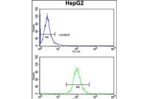 Flow cytometry analysis of HepG2 cells (bottom histogram) compared to a negative control cell (top histogram). (DCL1 antibody  (AA 143-170))
