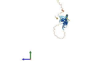 AlphaFold protein structure predicition of Mouse Recombinant Klra2 Protein, UniprotID Q60660 (Klra2 Protein (AA 1-288) (His tag))